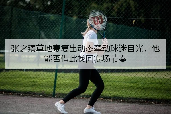张之臻草地赛复出动态牵动球迷目光，他能否借此找回赛场节奏